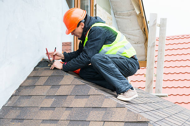 Best Roof Gutter Cleaning  in Cedar Grove, FL