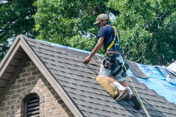 Quick and Trustworthy Emergency Roof Repair Services in Cedar Grove, FL